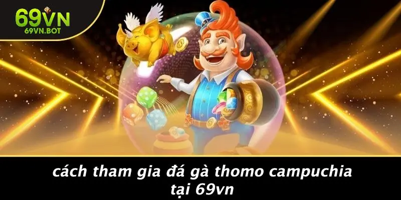 Cách Tham Gia Đá Gà Thomo Campuchia Tại 69VN