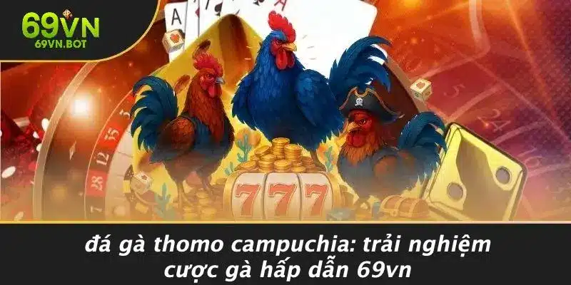 ĐÁ GÀ THOMO CAMPUCHIA: TRẢI NGHIỆM CƯỢC GÀ HẤP DẪN 69VN