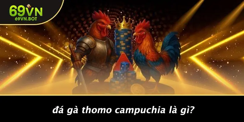 Đá Gà Thomo Campuchia Là Gì?