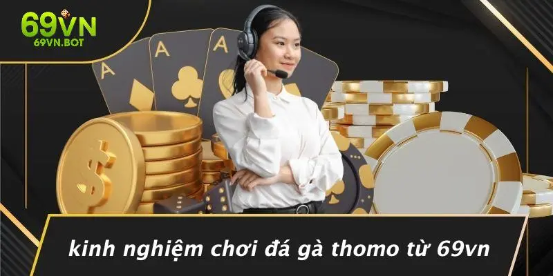 Kinh Nghiệm Chơi Đá Gà Thomo Từ 69VN