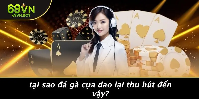 Tại Sao Đá Gà Cựa Dao Lại Thu Hút Đến Vậy?
