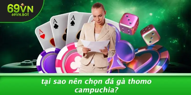 Tại Sao Nên Chọn Đá Gà Thomo Campuchia?